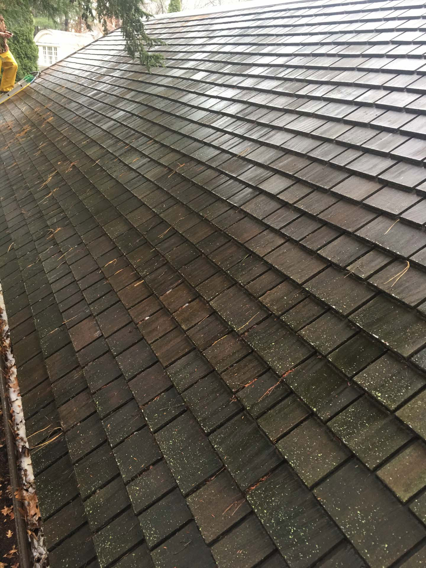 roof before power wash