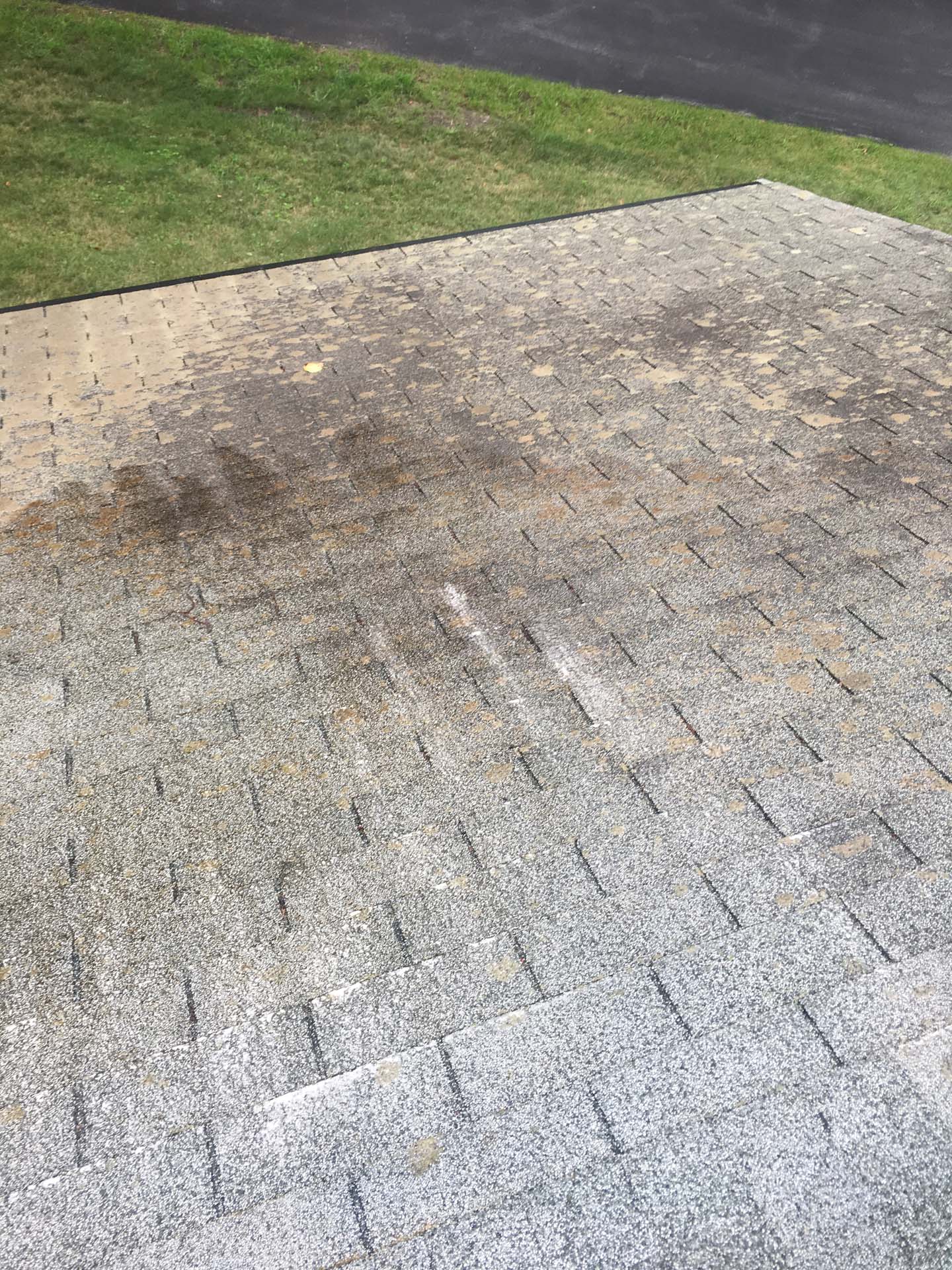 shingles before being cleaned