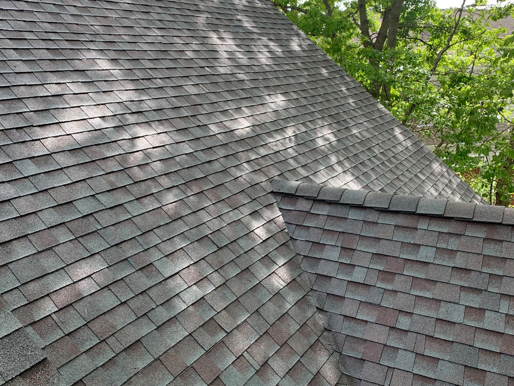 roof after cleaning
